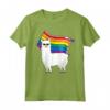 LGBT Bandiera T-Shirt Llama Gay Lesbica Resist - Alpaca Gay Pride Awareness - Ideale come Regalo per Sostenitori della Comunità LGBTQ+