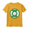 DC Lanterna Verde Logo Distressed Felpa con Cappuccio - Maglietta con Licenza Ufficiale DC Comics per Veri Fan - Ideale per Regali Speciali