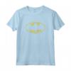 HapTiger Word Logo Maglietta - Officially Licensed DC Comics T-shirt for Superhero Fans - Buy Authentic Merchandise Online
