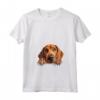 Donna Cane di Razza Cucciolo che Sbircia - Redbone Coonhound Maglietta con Collo a V - Ideale per Amanti dei Cani