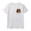 Pocket American English Coonhound - Maglietta simpatica per amanti dei cani - Regalo ideale per Natale e compleanno