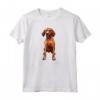Cane Redbone Coonhound Maglietta - Design Divertente per Amanti dei Cani - Regalo per il Cane - Crazy Dog Lover