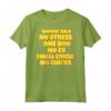 Good Sex No Stress One Boo Small Circle Big Checks - Maglietta Divertente per Compleanni e Natale - Design Slogan Meme Unico
