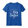 HapTiger Promoted to Big Sister 2023 - Maglietta per sorelle maggiori in attesa di una sorellina o fratellino - Design moderno Bianco e Pink