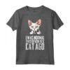 I was normal two Devon Rex cat ago - Devon Rex Gattino Maglietta - Regalo divertente per gli amanti dei gatti Devon Rex