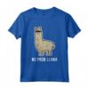 Llama Gift No Probllama Llama con Occhiali da Sole Maglietta - Regalo Divertente per Amanti dei Lama - Niente Drama Lama