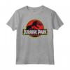 Jurassic Park Distressed Original Park Logo Maglietta - Officially Licensed Apparel for Fans - Buy Online Now