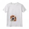 Donna Divertente American Foxhound Maglietta con Collo a V - Ideale per Regali per Amanti dei Cani