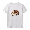 Foxhound Americano Pigro - Maglietta con Illustrazione per Amanti dei Cani - Acquista Online