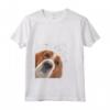 Divertente American Foxhound Cane Maglietta - Regalo Unico per Amanti dei Cani - Ideale per Proprietari di American Foxhound