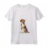 Donna Foxhound americano Maglietta con Collo a V - Design Illustrazione - Ideale per Amanti dei Cani da Caccia
