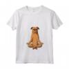 Donna Divertente - Yoga Cane Bruxelles Grifone Maglietta con Collo a V - Ideale Regalo per Proprietari di Cani Griffon Bruxelles
