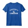 Divertente Labrador Retriever T Shirt Proprietà di Un Labrador - Maglietta Unica per Amanti dei Labrador Retriever