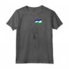 Lesotho Flag - Maglietta patriottica Basotho per tifosi e viaggiatori - Acquista online maglietta Lesotho