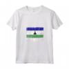 Donna Lesotho Bandiera Grunge Maglietta con Collo a V - Ideale come Souvenir per Uomini e Donne che Amano il Lesotho