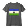 Camicia Lesotho Flag - Lesotho Maglietta - Gift for Lesotho - Pride of the Nation Tee