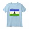 Camicia Lesotho Flag - Lesotho Maglietta - Gift for Lesotho - Pride of the Nation Tee
