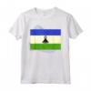 Camicia Lesotho Flag - Lesotho Maglietta - Gift for Lesotho - Pride of the Nation Tee