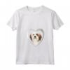 Donna Lhasa Apso Dog - Amante del Cuore del Cane - Maglietta Collo a V - Ideale per Regalo Lhasa Apso o Natale