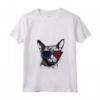 Donna Lykoi Cat 4 luglio America USA Bandiera Maglietta con Collo a V - Regalo per Proprietari di Gatti - Ideale per Natale o San Valentino