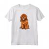 Mastino tibetano Crazy Dog Lover Maglietta - Ideale Regalo per Amanti dei Cani - Divertente Design per gli Amici e Familiari