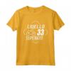 Livello 33 Superato Uomo 33 Anni - Compleanno Maglietta Regalo per 33° Compleanno - Idee Regalo Uomo 33 Anni