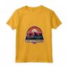 Donna New Hampshire Maglietta con Collo a V - Design Montagne Tramonto - Souvenir per Escursionisti e Campeggiatori del New Hampshire