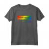Manchester Design College New Hampshire Maglietta - Souvenir divertente del New Hampshire - Versione arcobaleno per residenti di Manchester