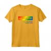 Manchester Design College New Hampshire Maglietta - Souvenir divertente del New Hampshire - Versione arcobaleno per residenti di Manchester