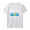 Maglietta Palau Flag | Palauan Power Battery Proud Tee - Top da Allenamento per Mostrare il Tuo Orgoglio Palauan - Regalo Unico per Natale o Compleanno