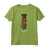 Plott Crazy Dog Lover Maglietta - Design Divertente per Amanti dei Cani Pazzi - Regalo Ideale per Amici e Familiari