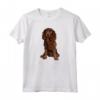Amante dei Cani Pazzi American Water Spaniel Maglietta - Regalo Divertente per Amanti dei Cani
