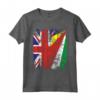 Bandiere delle Seychelles Regno Unito | Radici delle Seychelles britanniche Maglietta - Abbigliamento Vintage per Celebrare le Proprie Origini
