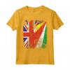 Bandiere delle Seychelles Regno Unito | Radici delle Seychelles britanniche Maglietta - Abbigliamento Vintage per Celebrare le Proprie Origini
