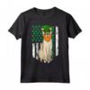 Singapura St Patricks Day Bandiera Americana Irlandese Maglietta per Amanti dei Gatti - Regalo Divertente per Amici e Familiari