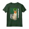 Singapura St Patricks Day Bandiera Americana Irlandese Maglietta per Amanti dei Gatti - Regalo Divertente per Amici e Familiari