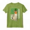 Singapura St Patricks Day Bandiera Americana Irlandese Maglietta per Amanti dei Gatti - Regalo Divertente per Amici e Familiari