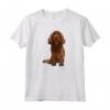 Cane Sussex Spaniel Maglietta - Regalo Divertente per Amanti dei Cani - Crazy Dog Lover Design