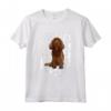 American Flag Sussex Spaniel - Divertente Maglietta per Amanti dei Cani - 4th Of July USA