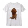 Cappello Natale Sussex Spaniel Ugly Christmas Maglietta - Regalo Divertente per Amanti dei Cani e del Natale