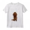 Amico Per La Vita Di Sussex Spaniel - Design Divertente Cane Maglietta - Regalo Per Amante Dei Cani