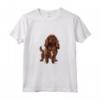 Children's Sussex Spaniel Dog Maglietta - Cute Dog Design for Kids and Dog Lovers - Ideal Gift for Dog School Friends