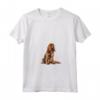 Donna Sussex Spaniel Maglietta con Collo a V - Design Illustrazione Leggera - Ideale per Amanti dei Cani