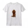 La Vita è Meglio con un Sussex Spaniel Dog Lover Maglietta - Regalo Divertente per Amanti dei Cani
