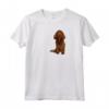 Amante dei cani del battito cardiaco del Sussex Spaniel Maglietta - Ideale Regalo per Amanti dei Cani Pazzi