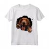 Sussex Spaniel Maglietta - Design Divertente per Amanti dei Cani - Leggera e Taglio Classico