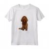 Lo Amo Sussex Spaniel - Cane Maglietta Divertente - Ideale per Amanti dei Cani - Regalo per Proprietari di Sussex Spaniel
