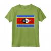 Swaziland T-shirt Swazi Tee Bandiera souvenir Regalo Maglietta - National Pride Tee for Swazi Football Fans