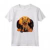 HapTiger Halloween Maglietta - Norwich Terrier Halloween Love per Proprietari e Amanti - Ideale per Halloween