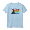 HapTiger The Dark Side of The Moon Maglietta - Design Unico Ispirato a Pink Floyd - Acquista Online